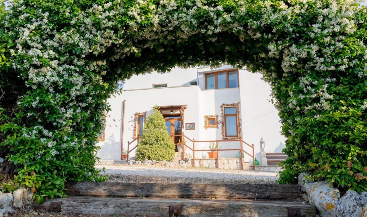 アルベロベッロ アート B ＆ B ジョイフル ピープル Bed & Breakfast エクステリア 写真